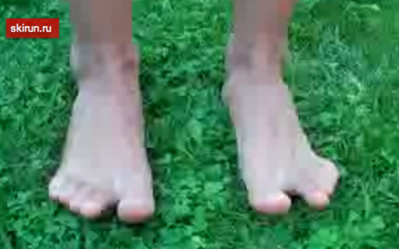 zarapki