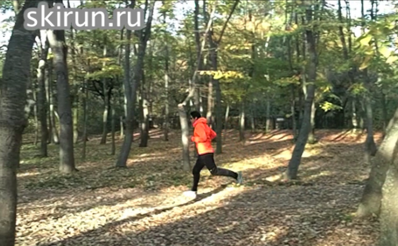 automn-run