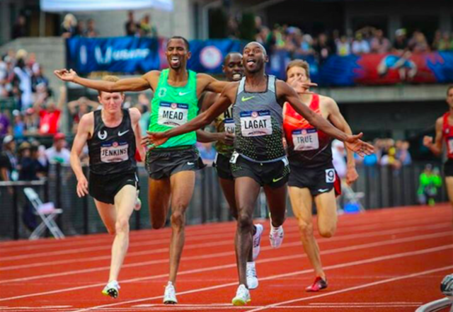 lagat-5000-win