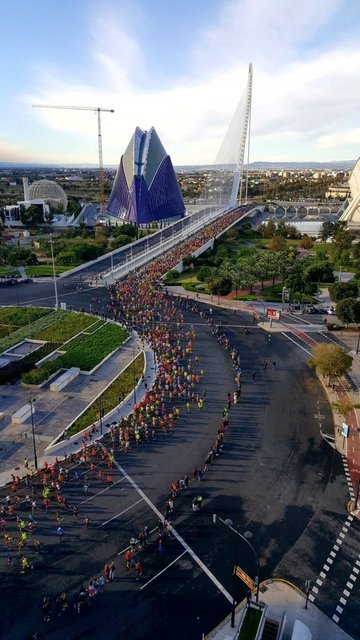 valencia-media-maraton